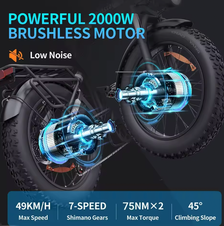 Vélo Électrique Ridstar – 2000W Double Moteur / 52V 40Ah