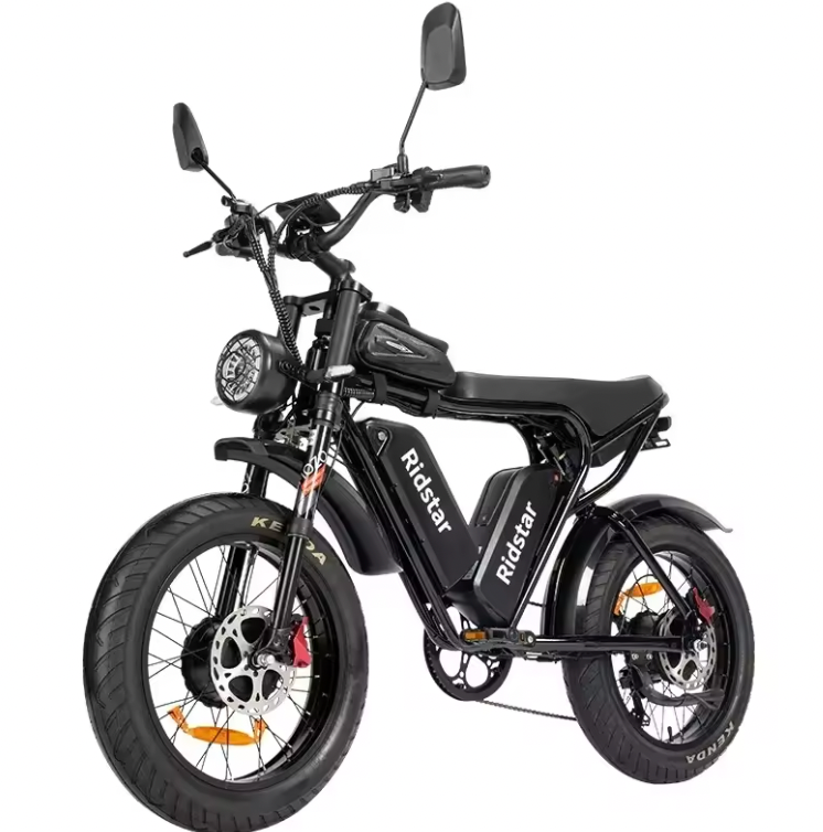 Vélo Électrique Ridstar – 2000W Double Moteur / 52V 40Ah